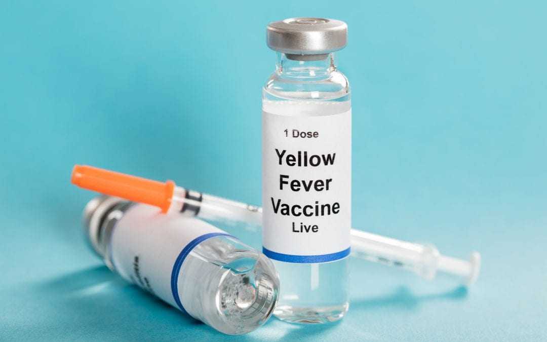 Yellow Fever