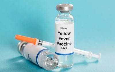 Yellow Fever