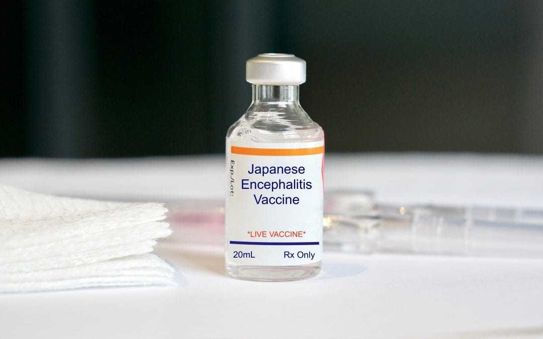 Japanese Encephalitis