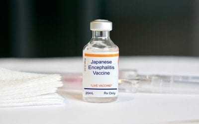 Japanese Encephalitis